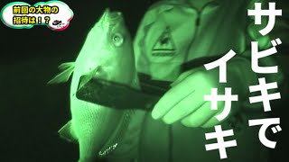 離島でジギング・サビキ・泳がせ釣り！　＃２