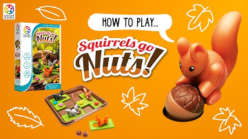 How to play Squirrels Go Nuts! - SmartGames
