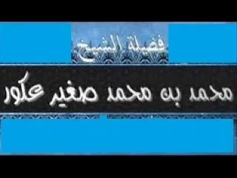 دور المرأة في الإسلام - محاضرة للشيخ محمد بن محمد صغير عكور