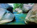 White Noise for Studying Nature – Forest River White Noise for Productivity