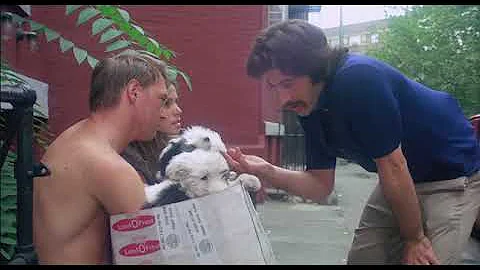 Jill Senter Scene from Serpico with Al Pacino 1970's