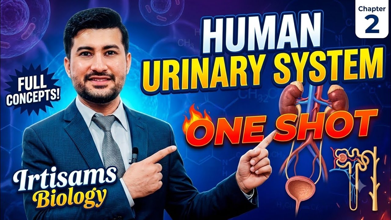 HUMAN Urinary system complete chapter One Shot | Class 12 Biology chapter 2 