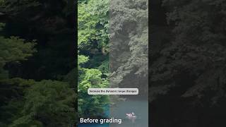 Shooting S-Log3: Quick Guide With Jessica Stansberry