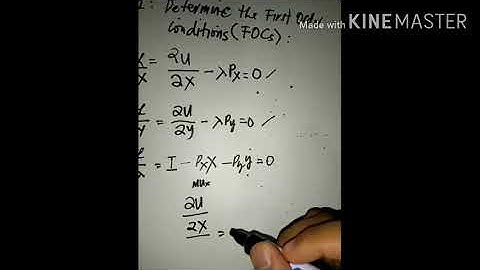 Primal Condition (Utility Maximization)