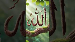 #allah #new #naat #short #trending #hearttouching #viral