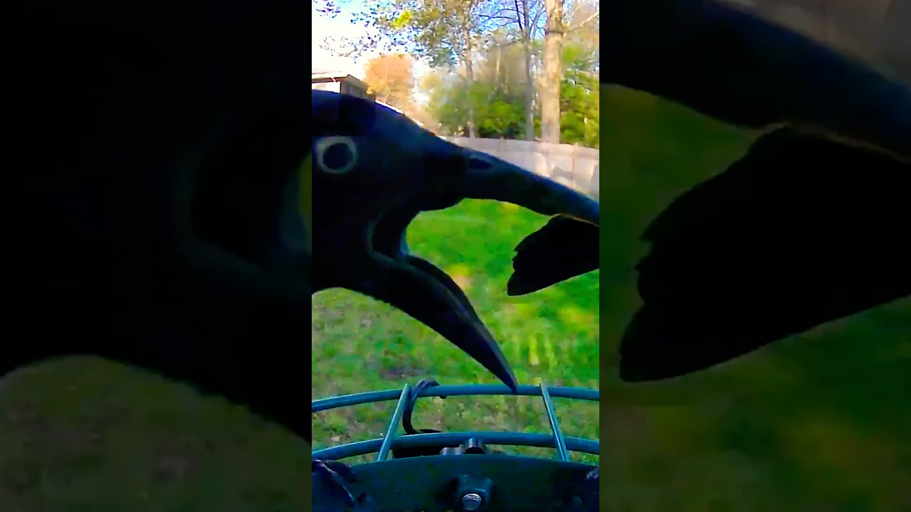 Omg 😱 I am gonna be careful 😂🖤 