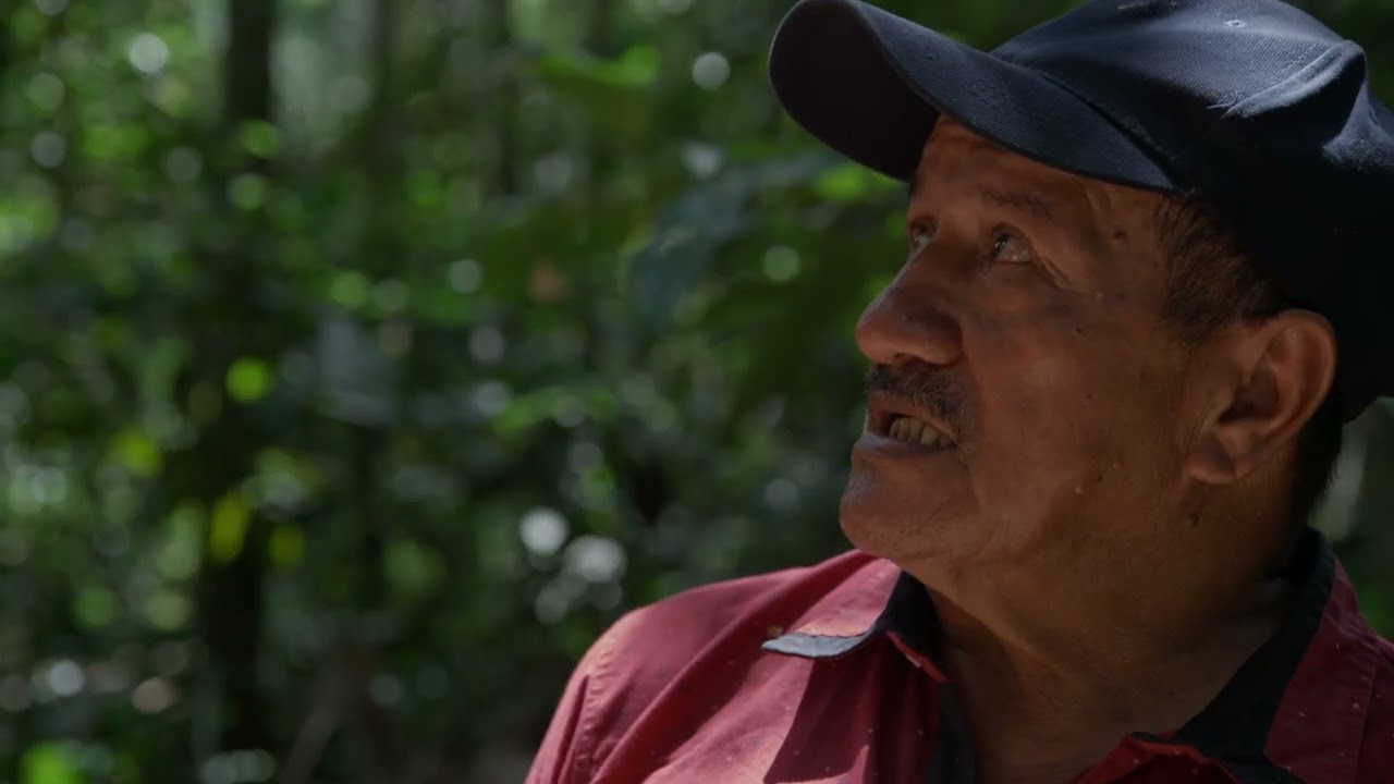 Aurelio Zapata, guardián de los bosques 4