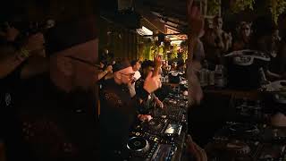 Vibes like THIS! 🌴 Dance floor certified 💯
