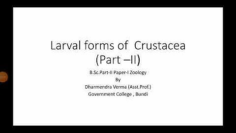 Larval forms of crustaceans (Part-II) ,B.Sc.Part-II Paper-I Zoology by Dharmendra Verma (Asst.Prof.)