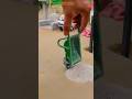 Day 11 Mini car parking Water Pump | Science Project #WaterPump #ScienceProject #ElectricMotor