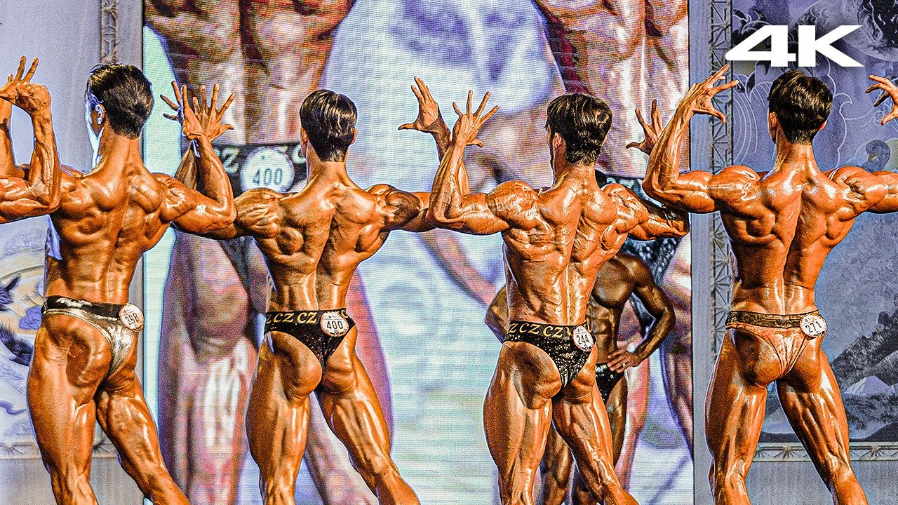 나바만의 독보적 무대...빗살 둔근 가득한 컨디셔닝 파티~｜2024 나바AOC 스포츠 모델 전체급+프로전