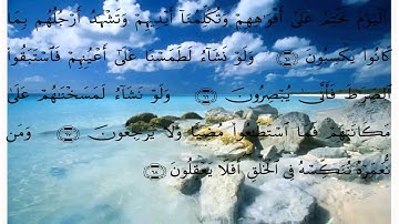 سورة يس الايات 53 الى 73
