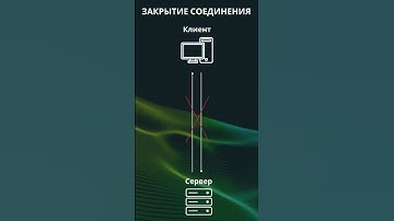 Web Sockets за 60 секунд #программирование #development