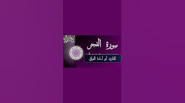 ما تيسر من سورة الفجر للقارئ زيد الشمري (أبو أسامة العراقي)