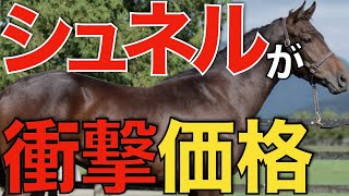 【想像以上】新種牡馬シュネルマイスターがまさかのエフフォーリア超え！血統への評価は相当なもの。