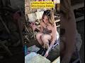 Ketika Bule Cantik Bikin Emping Melinjo #reaction #indonesia #youtubeshorts #viralvideo
