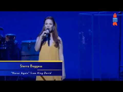 Sierra Boggess- “Never Again”