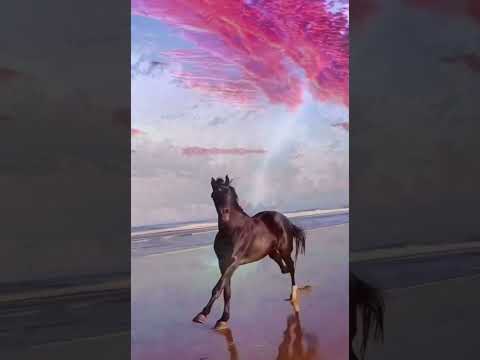 أنا اسفة لنفسي