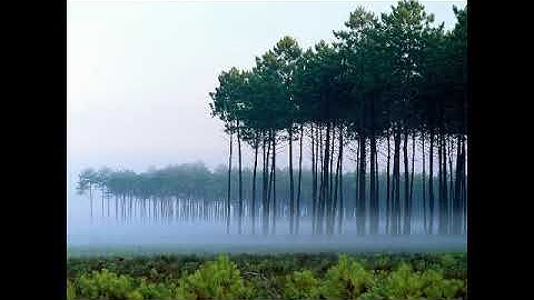 سورة الكهف بصوت القارئ محمد عثمان خان