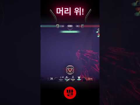 쇼티로 마무리 멋져요~