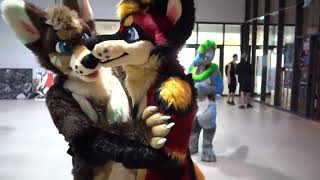 Two Furries Noseparty!