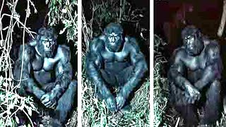 Stunning NEW BIGFOOT Video Confirms the Legend's Existence!