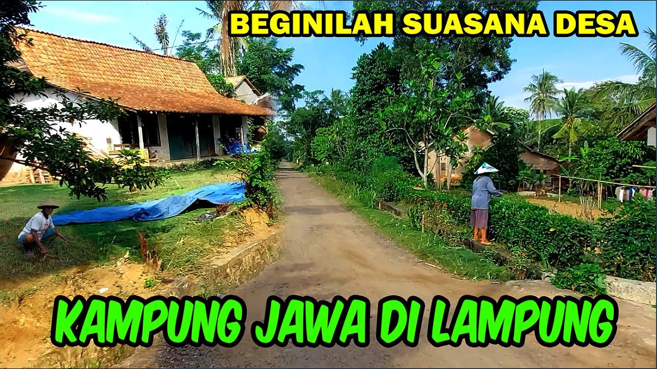 Kampung Jawa di Lampung || Suasana Desa Kampung Jawa