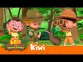 Kiwi  what is the kiwi looking for  leo the wildlife ranger  animation for kids
