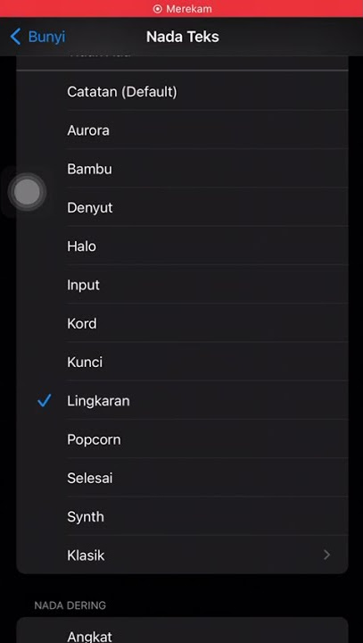 nada notifikasi iPhone lingkaran