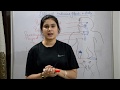 Endocrine system anatomy  physiology in hindi  glands  functions  locations  structure