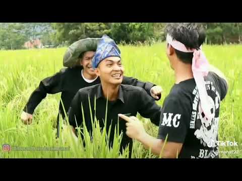 Tiktok DJ spongebob Versi burung gagak