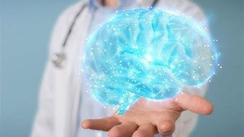 Your Guide to Neurology: Essential Insights into the Brainy Side (4 Minutes)