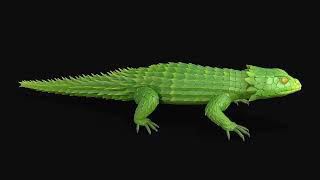Preview | Leaf Armadillo lizard | 3d animation - Bite