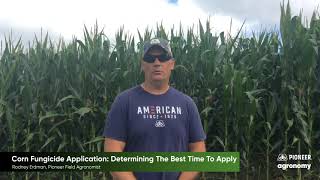 Corn Fungicide Application: Determining The Best Time To Apply
