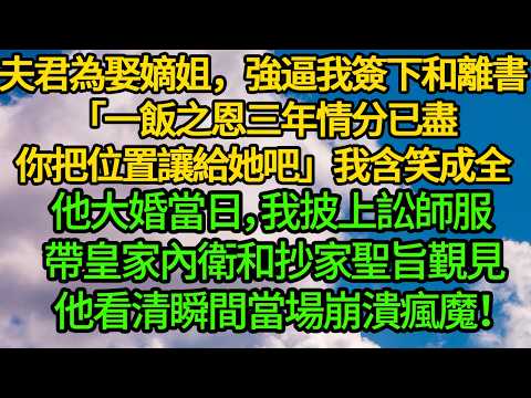 夫君為娶嫡姐，強逼我簽下和離書「一飯之恩三年情分已盡，你把位置讓給她吧」我含笑成全。他大婚當日，我披上訟師服 帶皇家內衛和抄家聖旨覲見，他看清瞬間當場崩潰瘋魔！