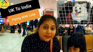 Flying Back To India From UK With My Pet Dog Guide | Documents, Charges, Time Required, Process