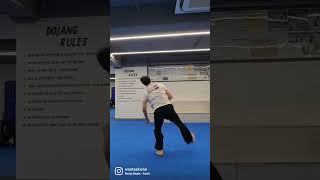 Taekwondo Shorts - Soft Landing #cheungdokwan screenshot 5