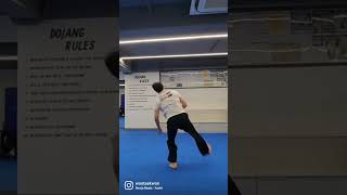 Taekwondo Shorts - Soft Landing #cheungdokwan screenshot 1