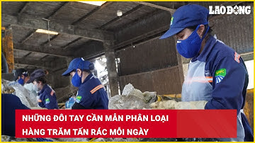 Những đôi tay cần mẫn phân loại hàng trăm tấn rác mỗi ngày | Báo Lao Động