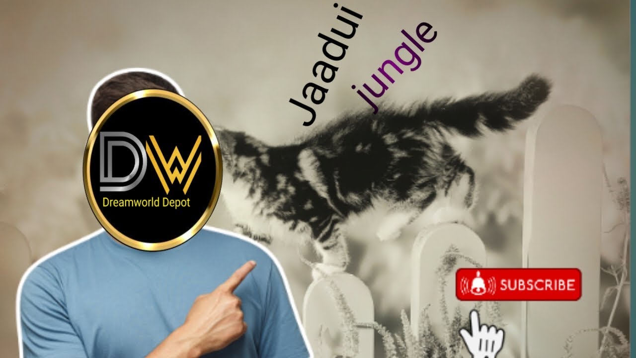 Whimsical Wonders: Adventures of the Zany Zoo Crew