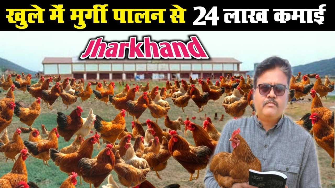 खुले में मुर्गी पालन से 25 लाख कमाई कैसे 😱। Free Range Me Murgi Palan Jharkhand। 