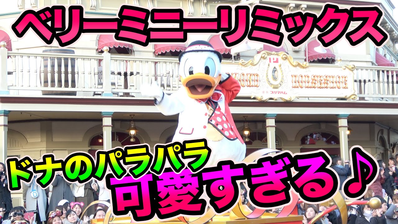 [4K]スニーク ドナのパラパラが可愛い♪ ベリーミニーリミックス パターン1ver