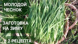 ЗАГОТОВКА НА ЗИМУ МОЛОДОГО ЧЕСНОКА/ 2 ПРОСТЫХ РЕЦЕПТА/ ГОРОЖАНКА В ДЕРЕВНЕ