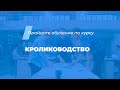 Интернет курс обучения «Кролиководство»