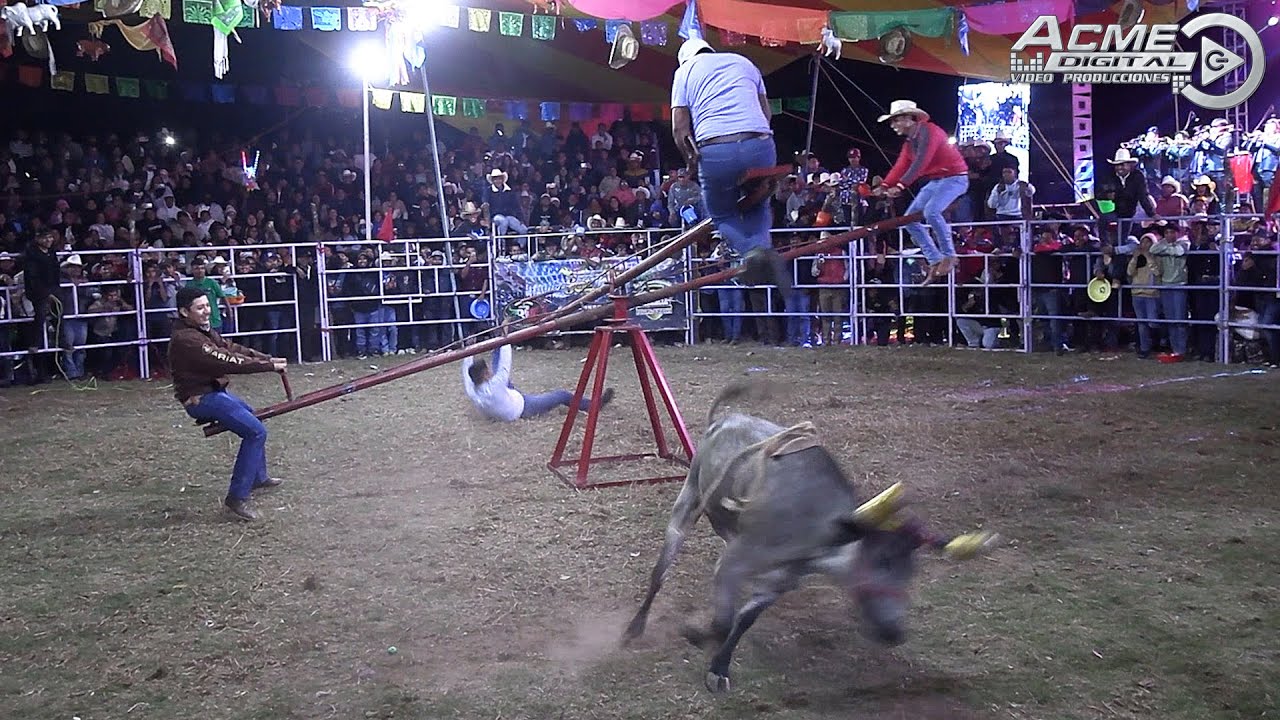 Concurso del sube y baja en el Jaripeo con un toro listo para atacar. 🐄🐂🐮