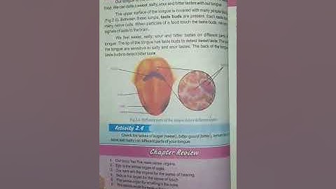 Science Class 6 Lecture 8 | By Ambreen | Falcon School System