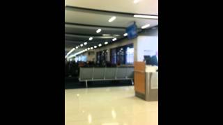 American Airlines Customer Service