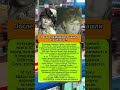 Этот поступок изменил отношение фанатов #shorts #шоубизнес 342