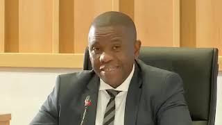 General Mkhwanazi Gives Evidence on Senzo Mchunu at the Madlanga Commission on Day 3