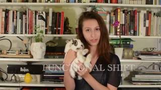 Functional Shift in SHAKESPEARE